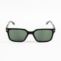oculosestrutura02-blackgreen